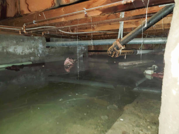Best Emergency water damage restoration  in Redmond, OR