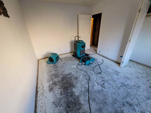 Best Carpet water damage restoration  in Redmond, OR
